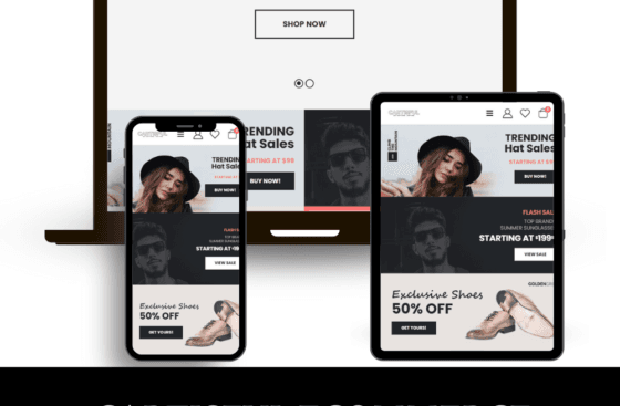 CARTISFUL ECOMMERCE Website